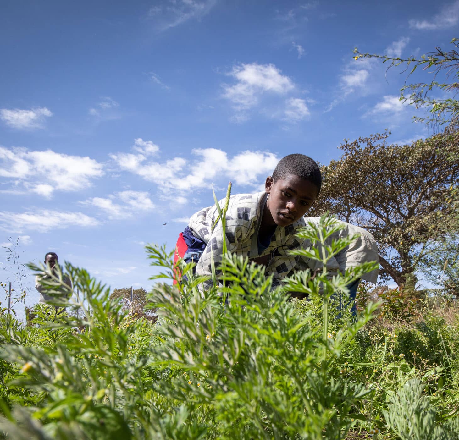 En gutt fra Etiopia står ute i en åker, han har mønstrete skjorte og rød og blå shorts. Bak ham står det en mann. Det er trær i bakgrunnen og en høy blå himmel. Foto: Petterik Wiggers
