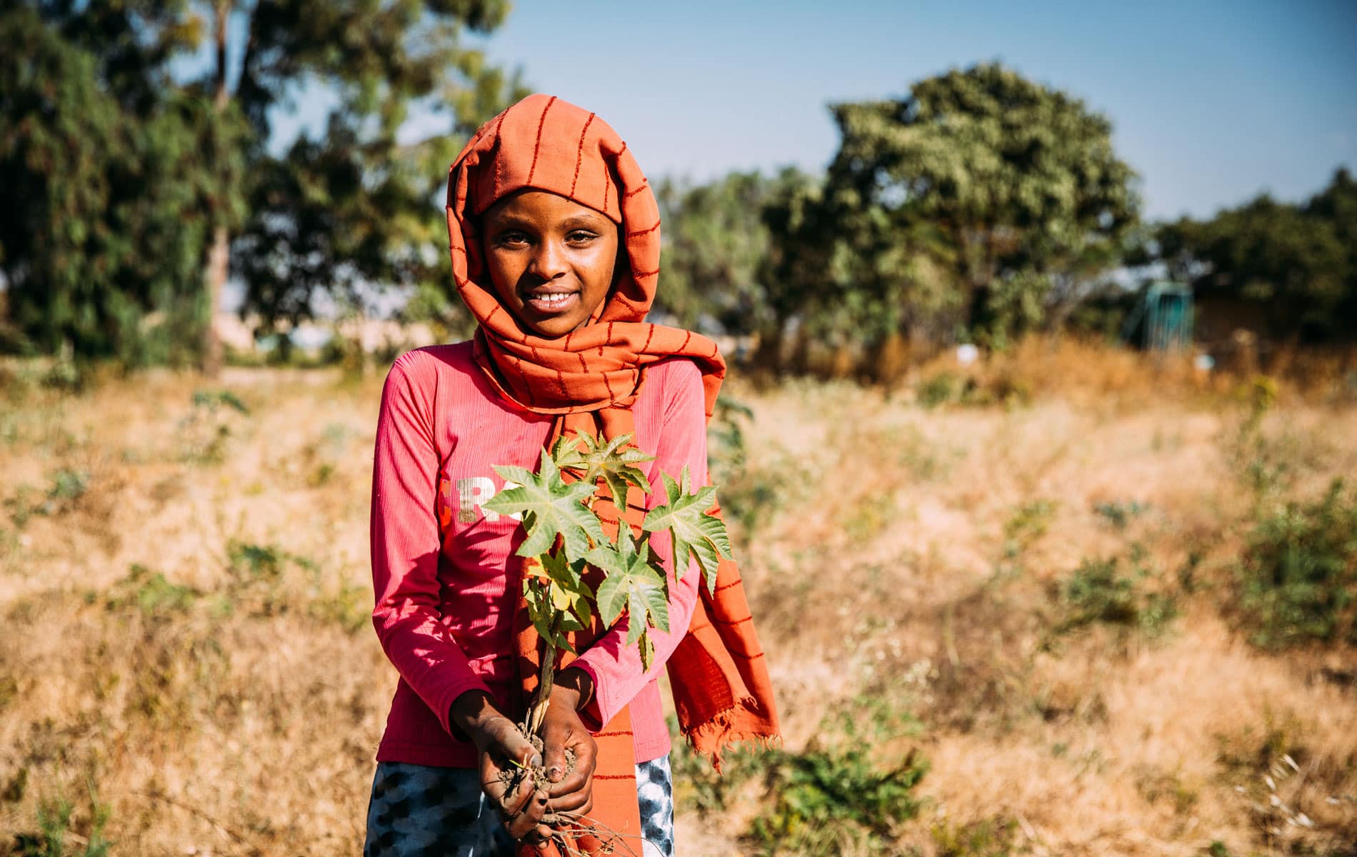 Ei jente med oransje hijab og rosa genser står i en åker, i hendene holder hun en grønn plante. Foto Alea Horst